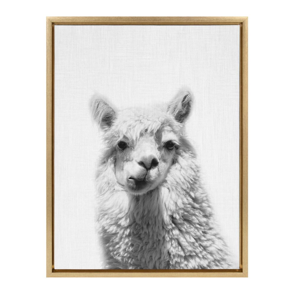 Buy Sylvie Alpaca Portrait by Simon Te of Tai Prints Framed Canvas