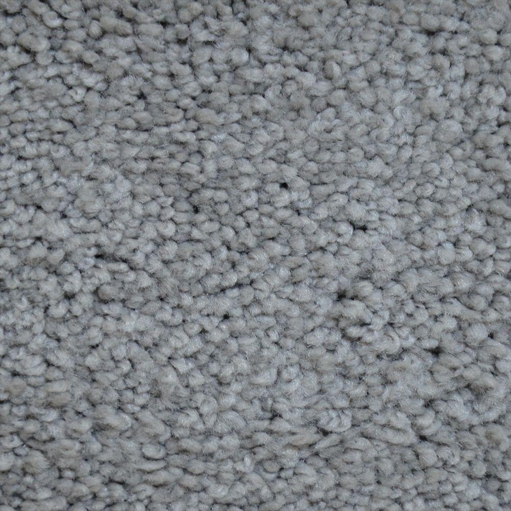 LifeProof Tyus I Color Charleston Texture 12 ft. CarpetH50414211