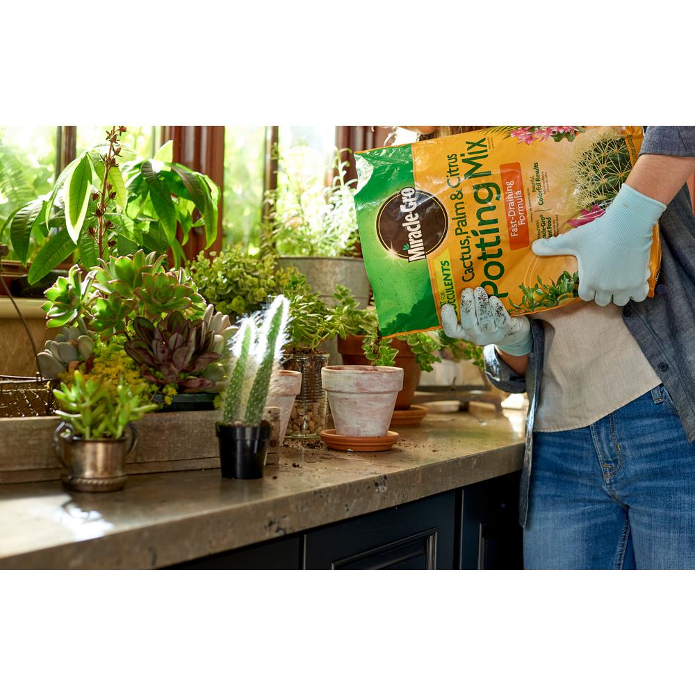 Miracle Gro 8 Qt Cactus Palm And Citrus Potting Soil Mix Miracle Gro 8 Qt Cactus Palm And Citrus Potting Soil Mix