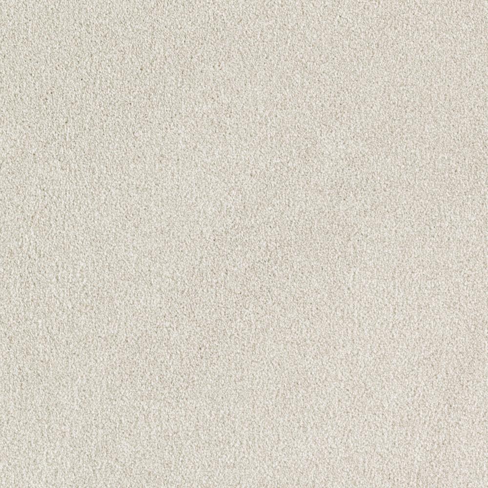 Lifeproof With Petproof Technology Silver Mane Ii Color Quiet Taupe Texture 12 Ft Carpet 0784d 22 12 The Home Depot