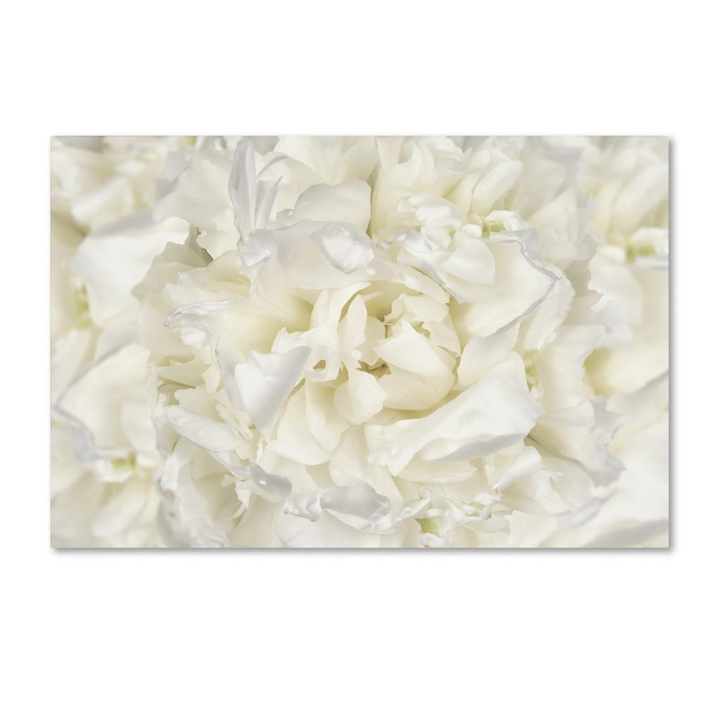 Trademark Fine Art 12 In X 19 In White Peony Flower By Cora Niele Printed Canvas Wall Art Ali1795 C1219gg The Home Depot