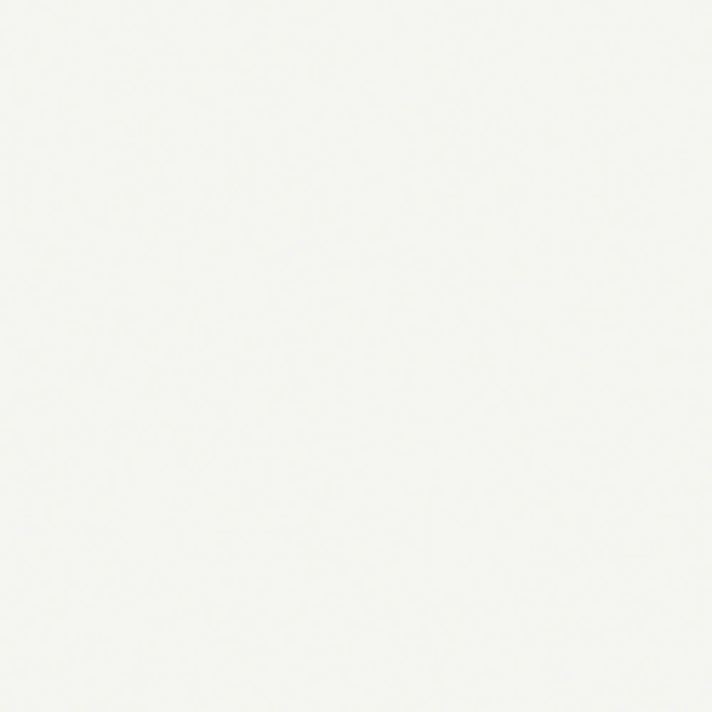 Wilsonart 2 in. x 3 in. Laminate Countertop Sample in Frosty White with