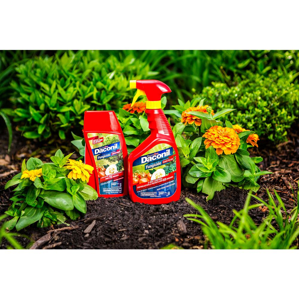 FUNGICIDE 32 oz. Spray Plant Disease Control Rain Proof Ready-to-Use ...