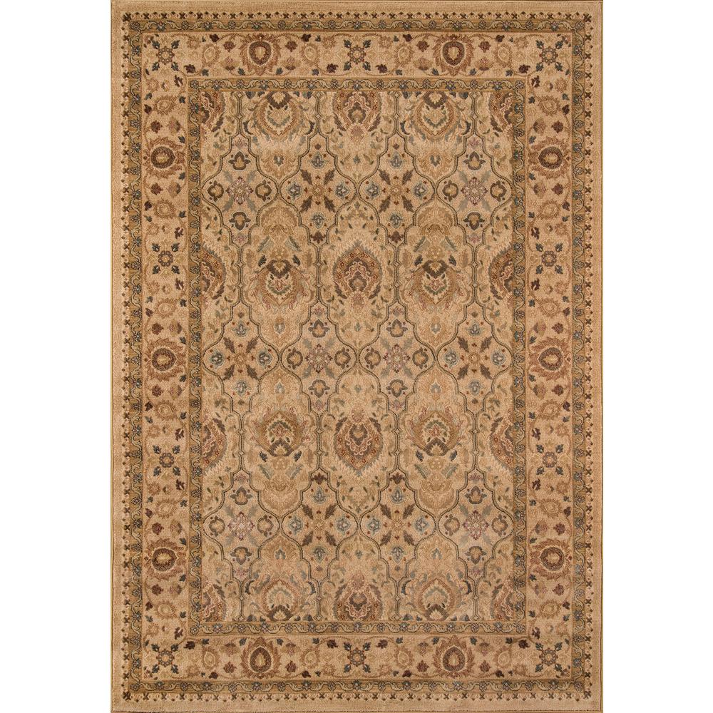 Home Dynamix Bazaar Emy Red Ivory 8 Ft X 10 Area Rug 1 Hd2587 Buckingham Ivory 8 Ft X 10 Area Rug