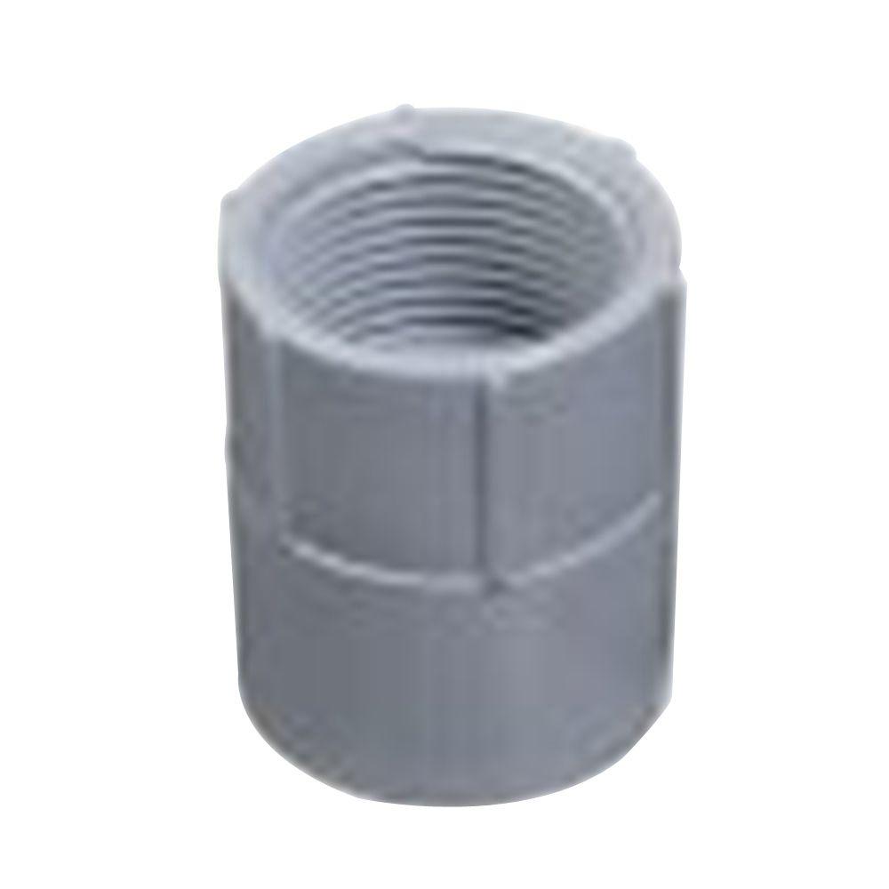 21/2 in. PVC Female Adapter (Case of 4)E942KCAR The Home Depot