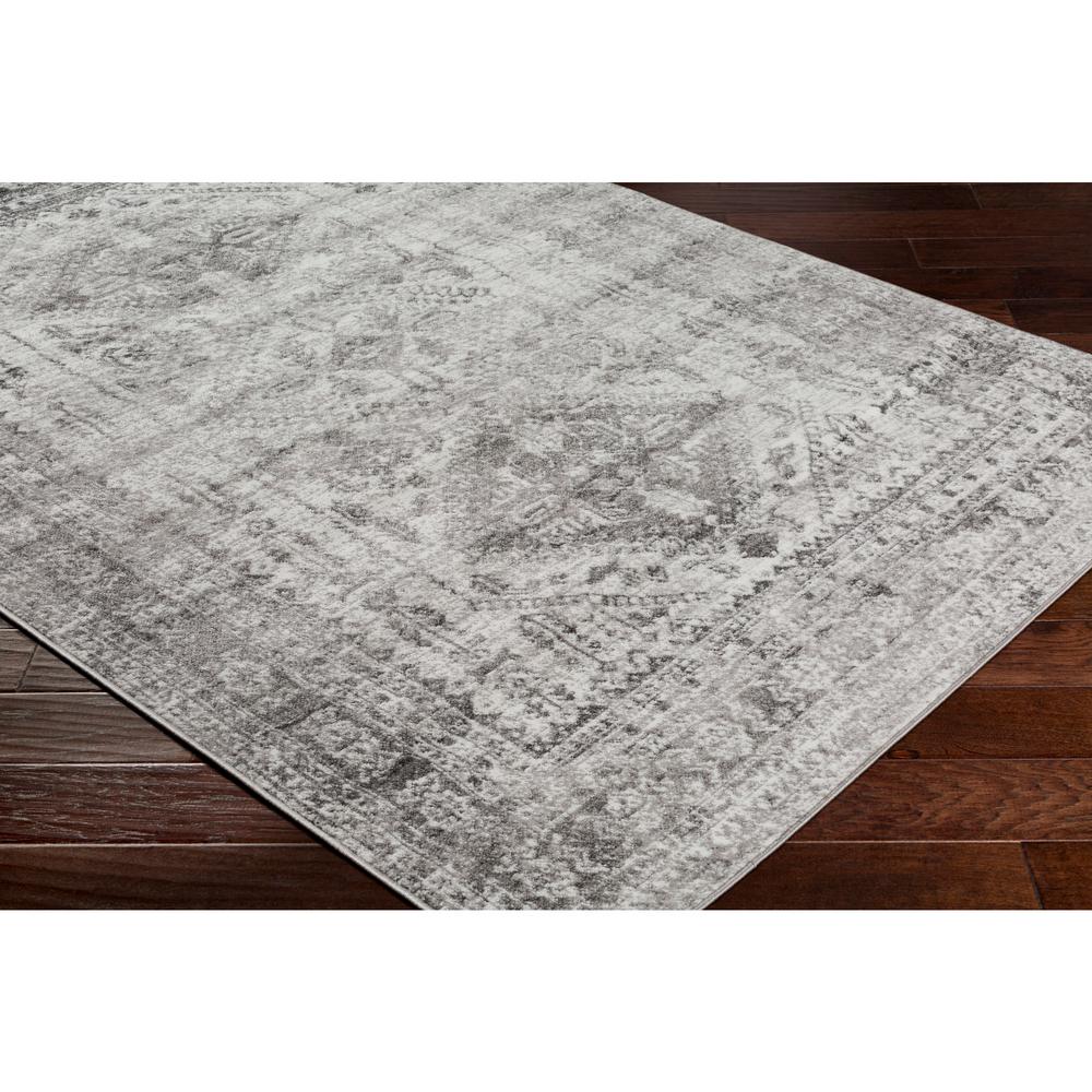Artistic Weavers Havana Grey 2 Ft 7 In X 3 Oriental