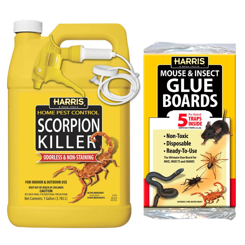 scorpion spray