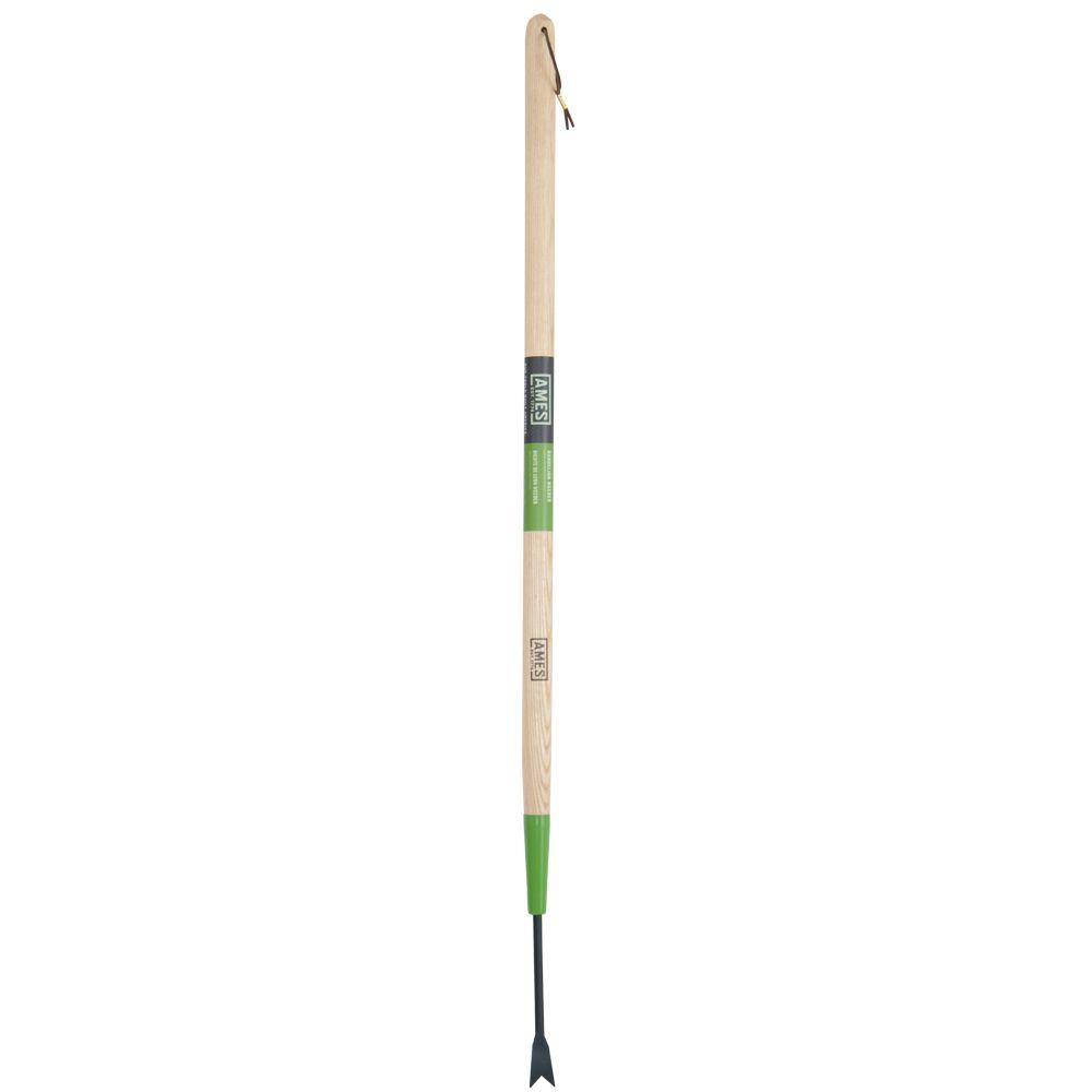 dandelion weeder home depot