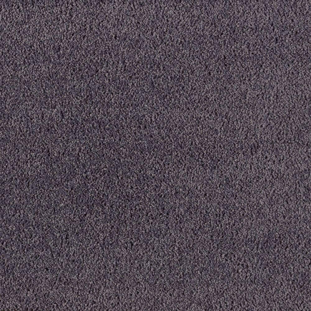 Home Decorators Collection Carpet Sample - Shining Moments I (S
