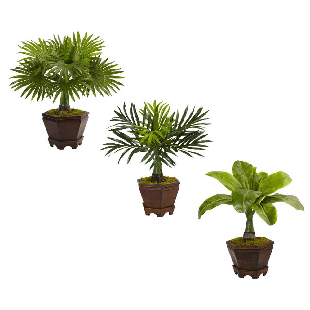 Nearly Natural Indoor Assorted 16 5 In H Mini Artificial Palm Trees In Planter Set Of 3 6325 S3 The Home Depot,Dog Seizures Cause