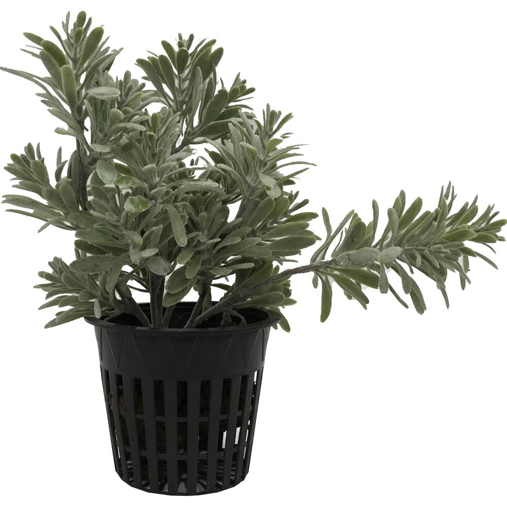 3 Inch White Slotted Mesh Net Pot 25 Pack Lawn Garden Planter Hydroponic Patio