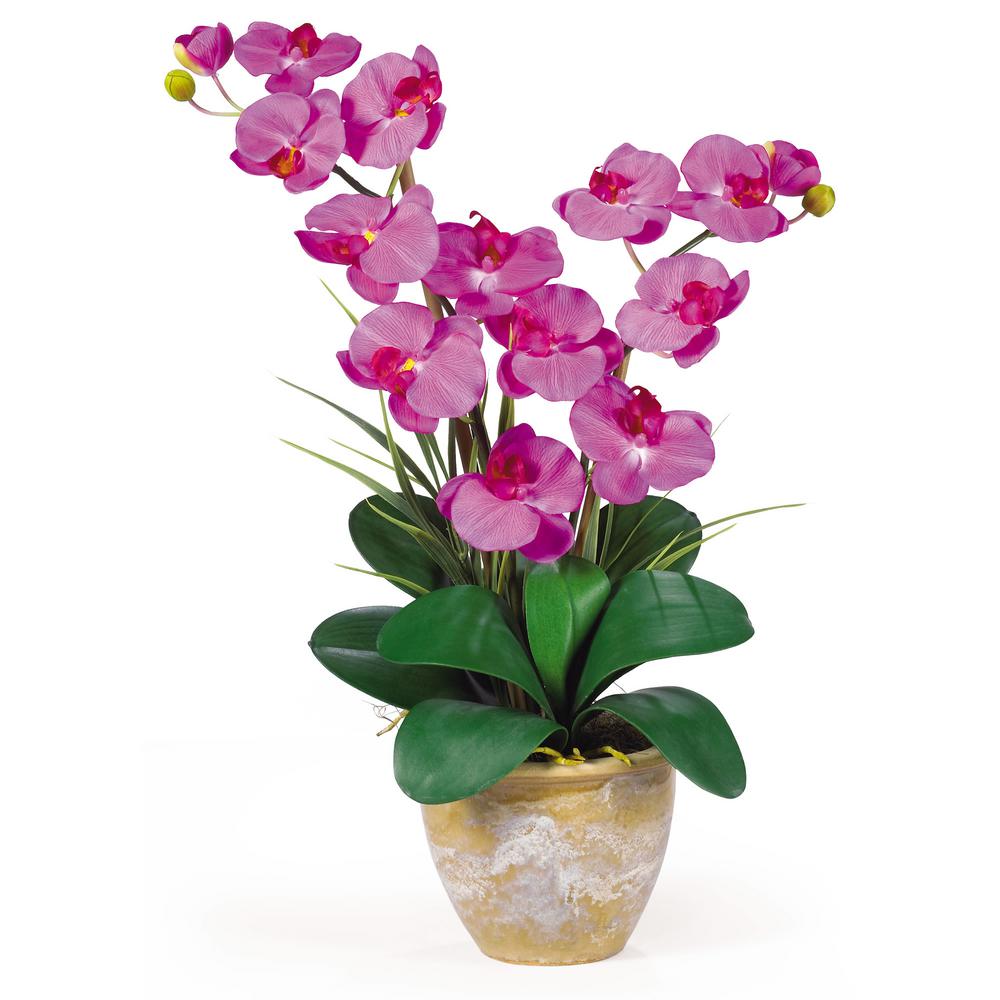 Nearly Natural 25 in. Double Phalaenopsis Silk Orchid Flower