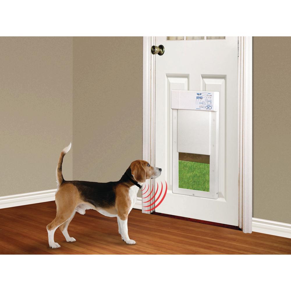 secure dog door for large dogs
