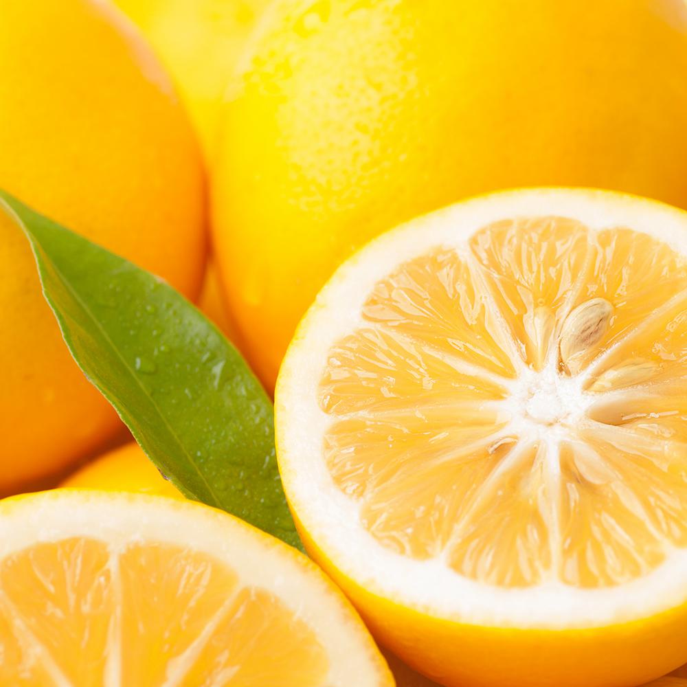 Van Zyverden Lemon Citrus Tree Improved Meyer 1 Plant 83903 The Home Depot - Lemon Patio Tree Van Zyverden Van Zyverden Lemon Citrus Tree Improved Meyer 1 Plant 83903 The Home Depot - Lemon Patio Tree Van Zyverden