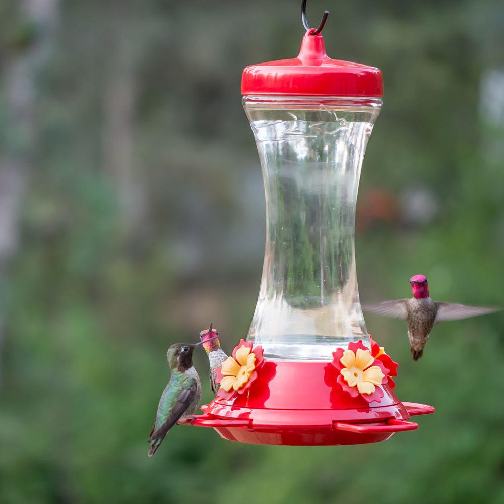 Perky Pet Adjustable Perch Glass Hummingbird Feeder 20 Oz Capacity 476 3 The Home Depot - Red Glass Hummingbird Feeder With Perch Perky Pet Adjustable Perch Glass Hummingbird Feeder 20 Oz Capacity 476 3 The Home Depot - Red Glass Hummingbird Feeder With Perch