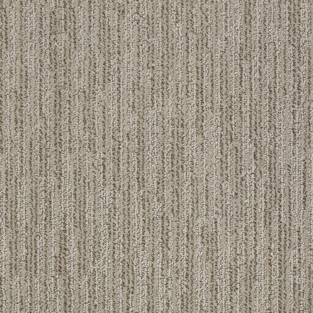 Home  Decorators  Collection  Carpet Flooring The Home  