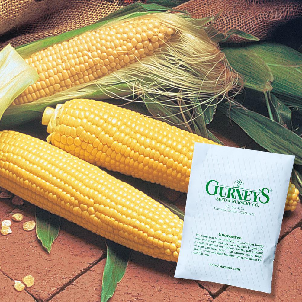 Gurney's 0.50 lb. Sweet Corn Double Delicious Hybrid Seed Packet14434