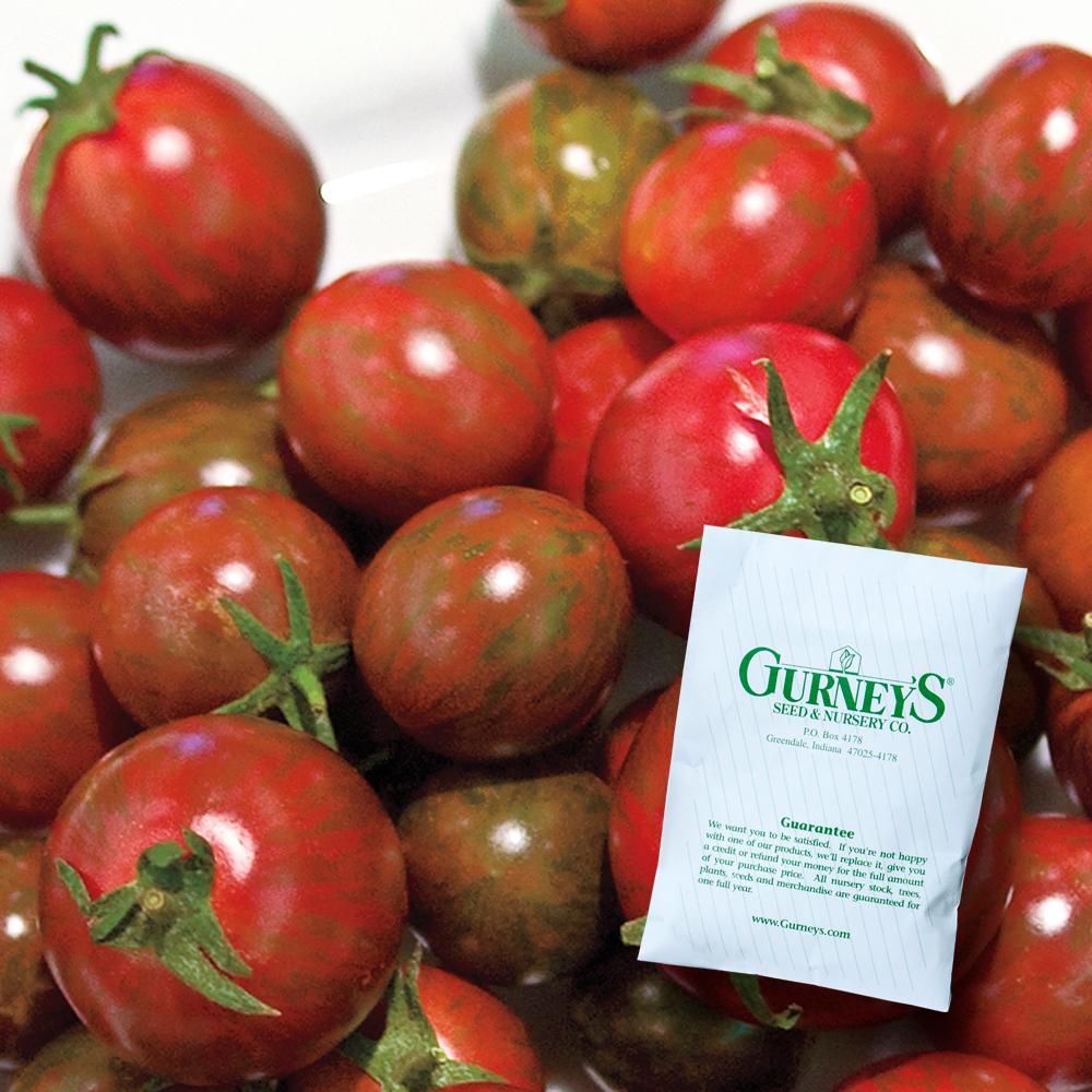 Gurney S Tomato Zebra Cherry Hybrid 25 Seed Packet 83399 The Tomato Zebra Cherry Hybrid 25 Seed Packet