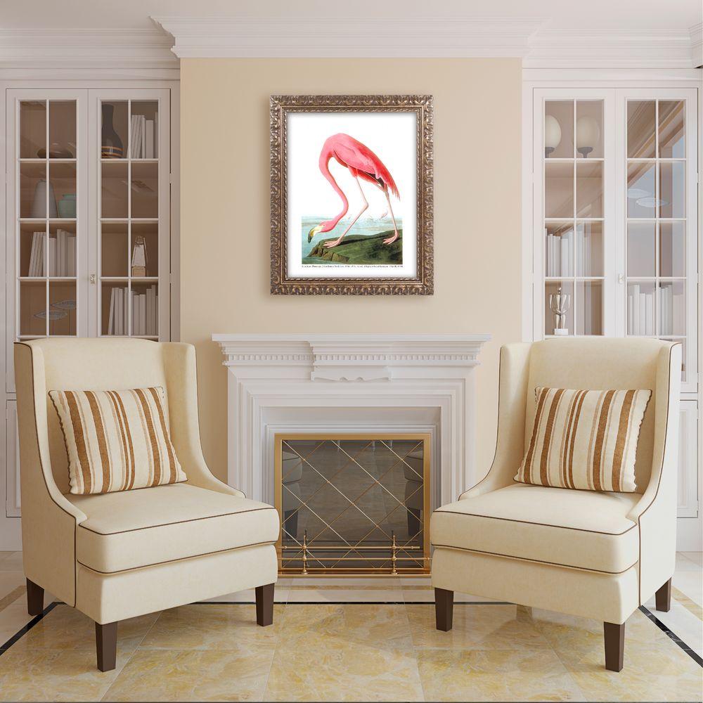 Trademark Fine Art 20 In X 16 American Flamingo By John James American Flamingo By John