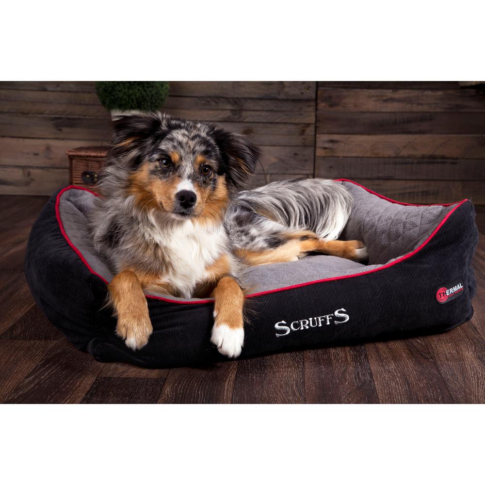 scruffs dog bed xl