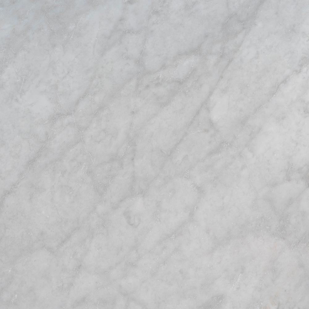STONEMARK 3 in. x 3 in. Marble Countertop Sample in Carrara White Honed