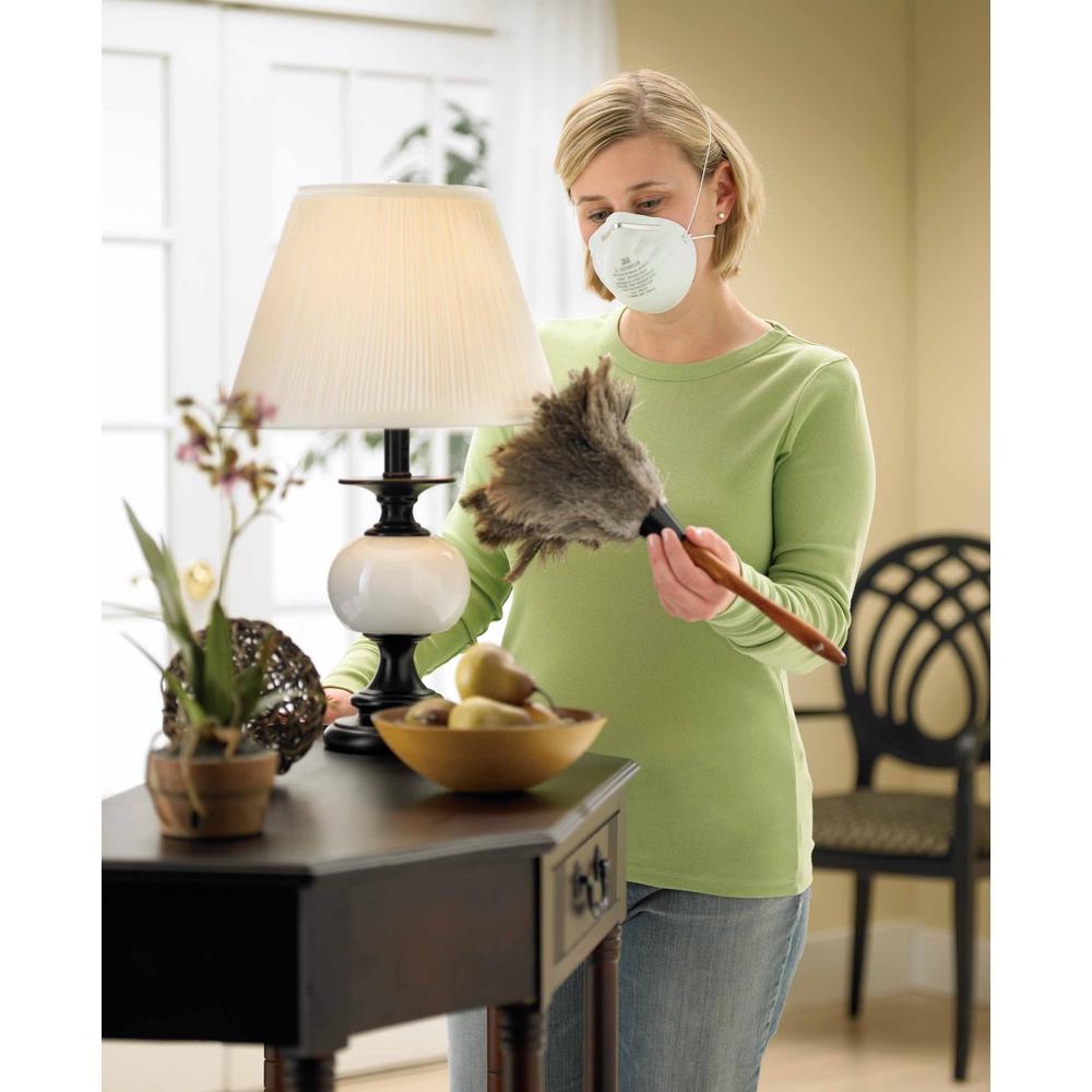 3m home dust mask 3m home dust mask