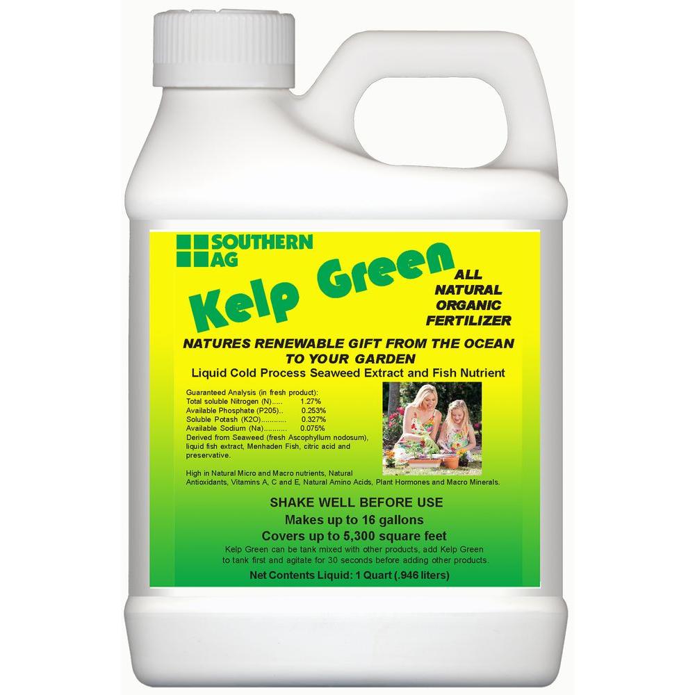 Southern Ag 32 Oz Kelp Green Organic Liquid Fertilizer 100509323 Kelp Green Organic Liquid Fertilizer 100509323 The Home Depot