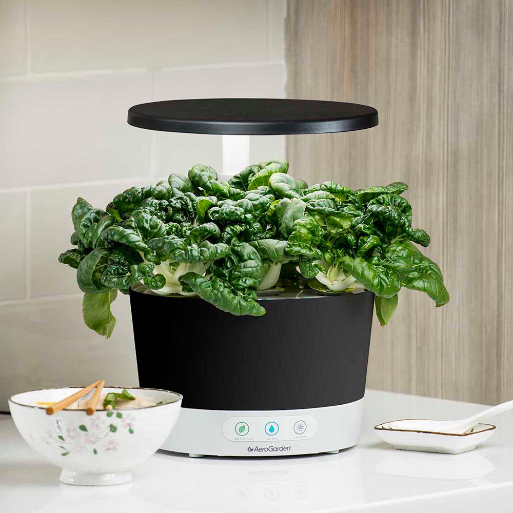 AeroGarden - Hydroponic Systems & Planters - Hydroponic Gardening - The