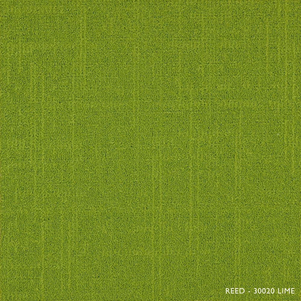 Reed Lime 19.68 in. x 19.68 in. Carpet Tiles (8 Tiles/Case)4007430020