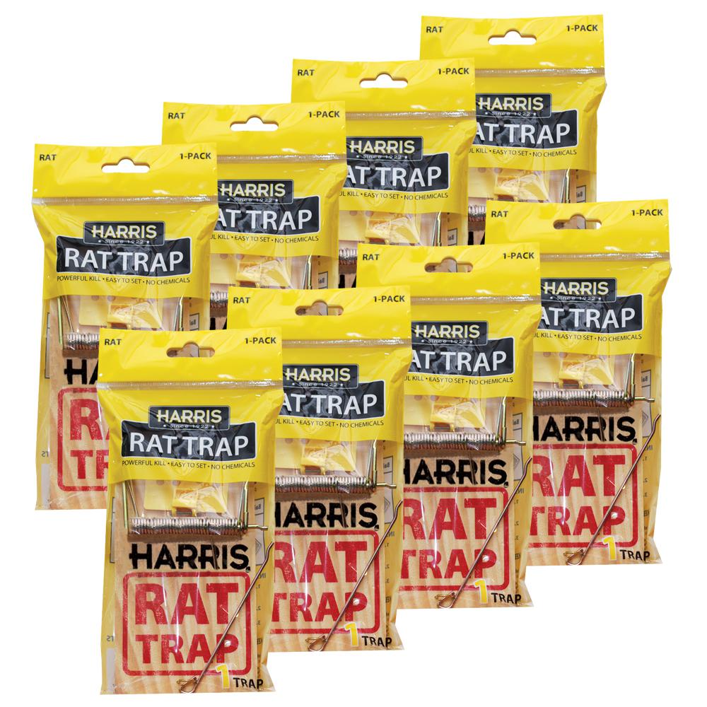 Harris King Size Rat and Mouse Glue Trap (2Pack)2KINGRAT The Home