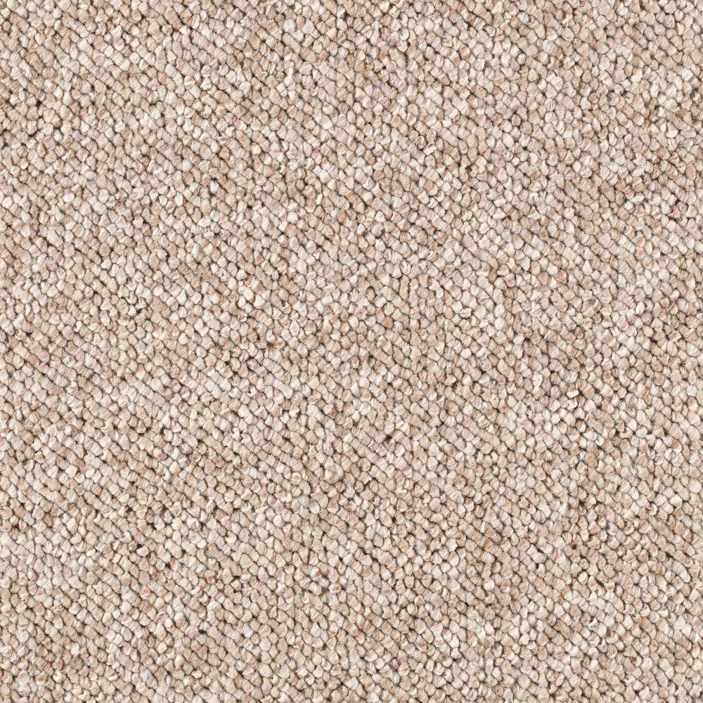Trafficmaster Carpet Sample Tidewater Color Carved Wood Loop 8 Trafficmaster Carpet Sample Tidewater Color Carved Wood Loop 8 In X