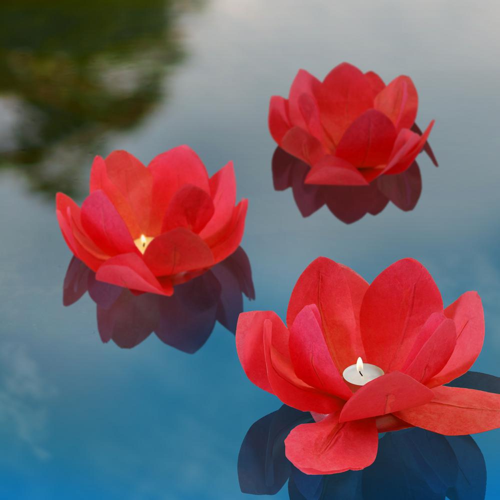 floating lotus lanterns