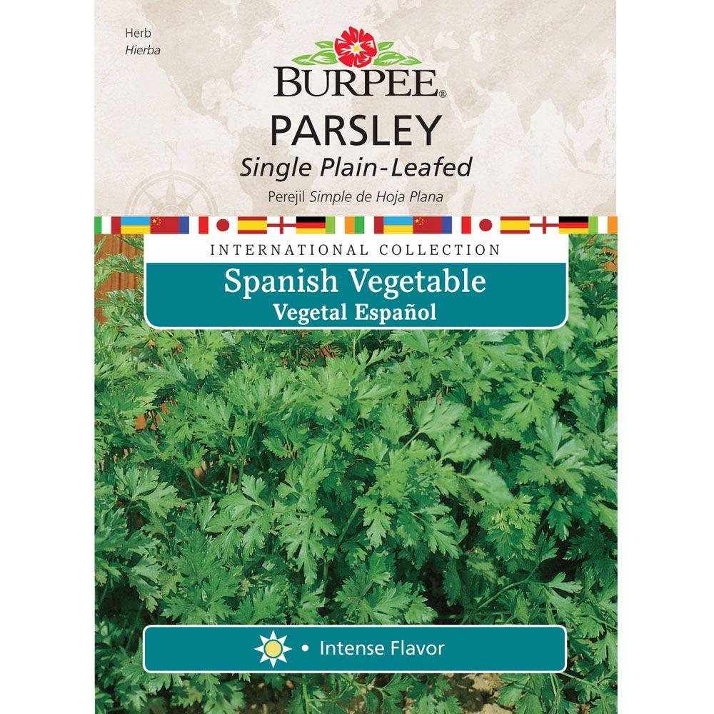 Burpee Internal Collection Spanish Vegetable Herb Parsley Plain Seed ...