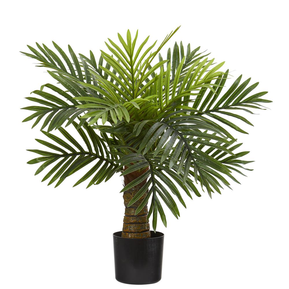 Nearly Natural 26 In Robellini Palm Artificial Tree 9452 The Home Depot,Dog Seizures Cause