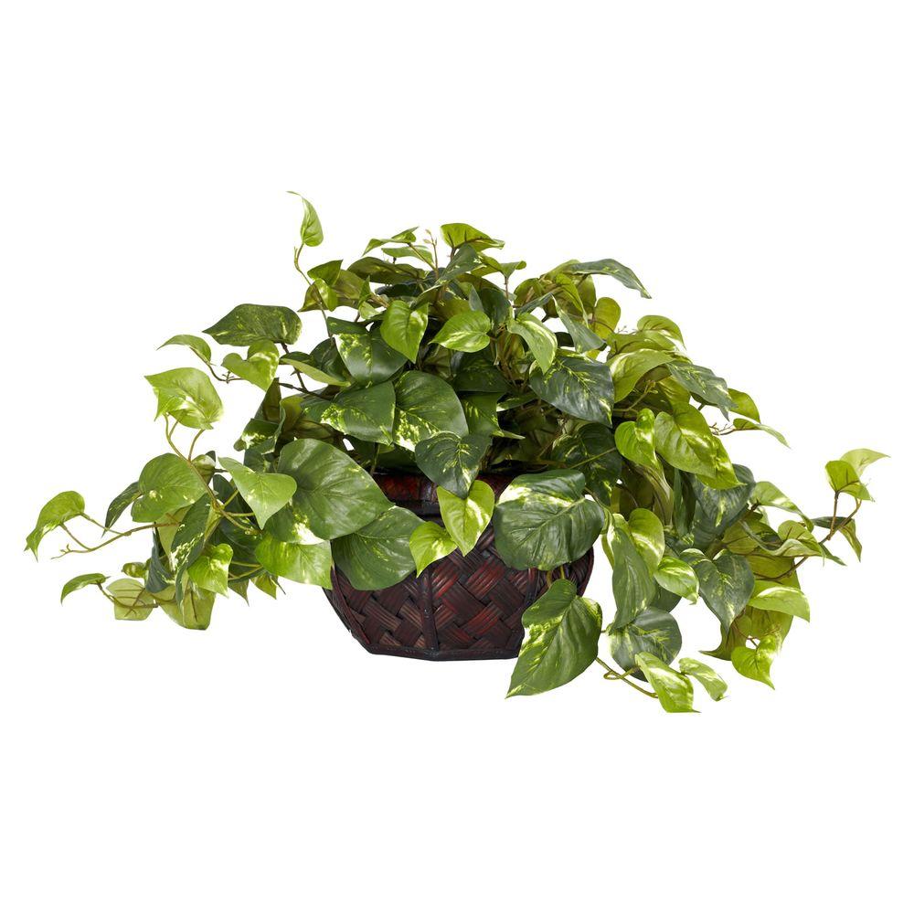 https://images.homedepot-static.com/productImages/b182e53b-f2b3-4c1a-86c9-9274a0a38fcc/svn/nearly-natural-artificial-plants-6681-64_1000.jpg