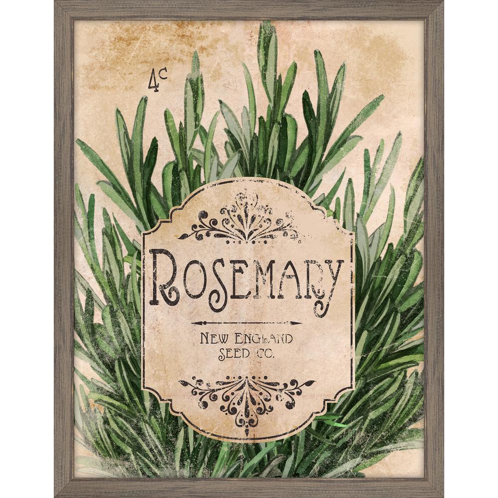 Melissa Van Hise Seed Packet Rosemary Framed Giclee Vintage Art Print ...