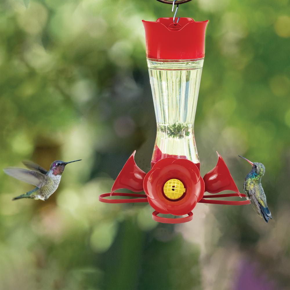 Perky Pet Pinch Waist Glass Hummingbird Feeder Kit 203cpbn Hbvb The Home Depot - Red Glass Hummingbird Feeder With Perch Perky Pet Pinch Waist Glass Hummingbird Feeder Kit 203cpbn Hbvb The Home Depot - Red Glass Hummingbird Feeder With Perch