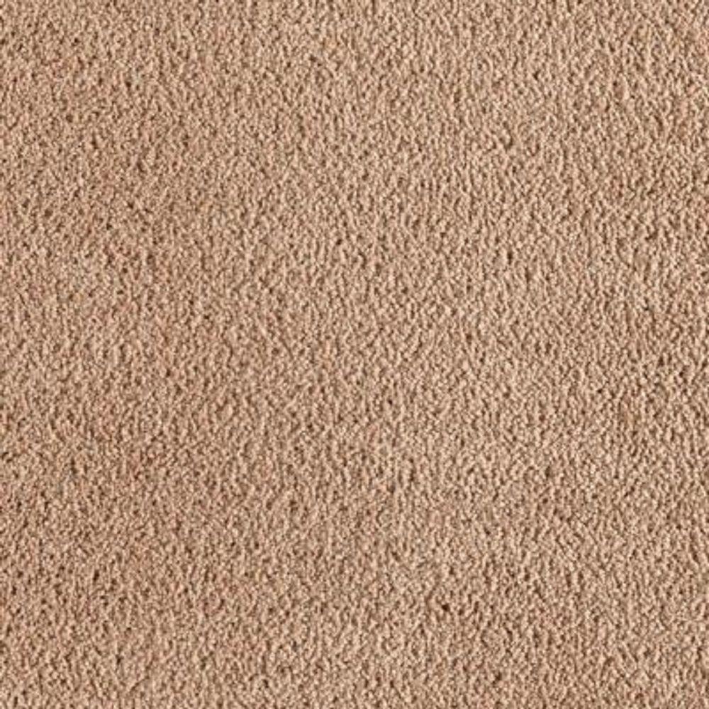 LifeProof Carpet Sample - Wesleyan I - Color Beige Allure Texture 8 in ...