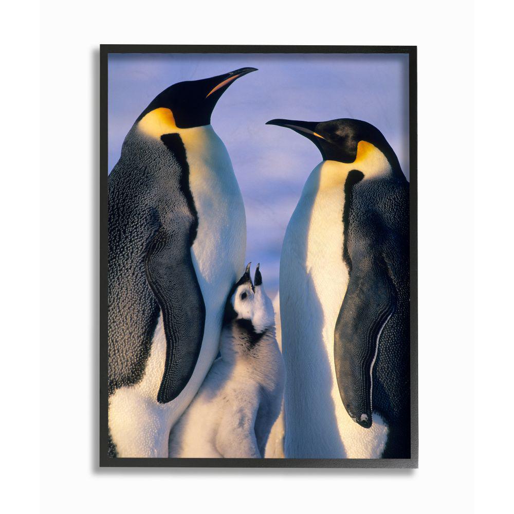 Wall Art Canvas Picture Print of Penguin Family Framed Ready to Hang