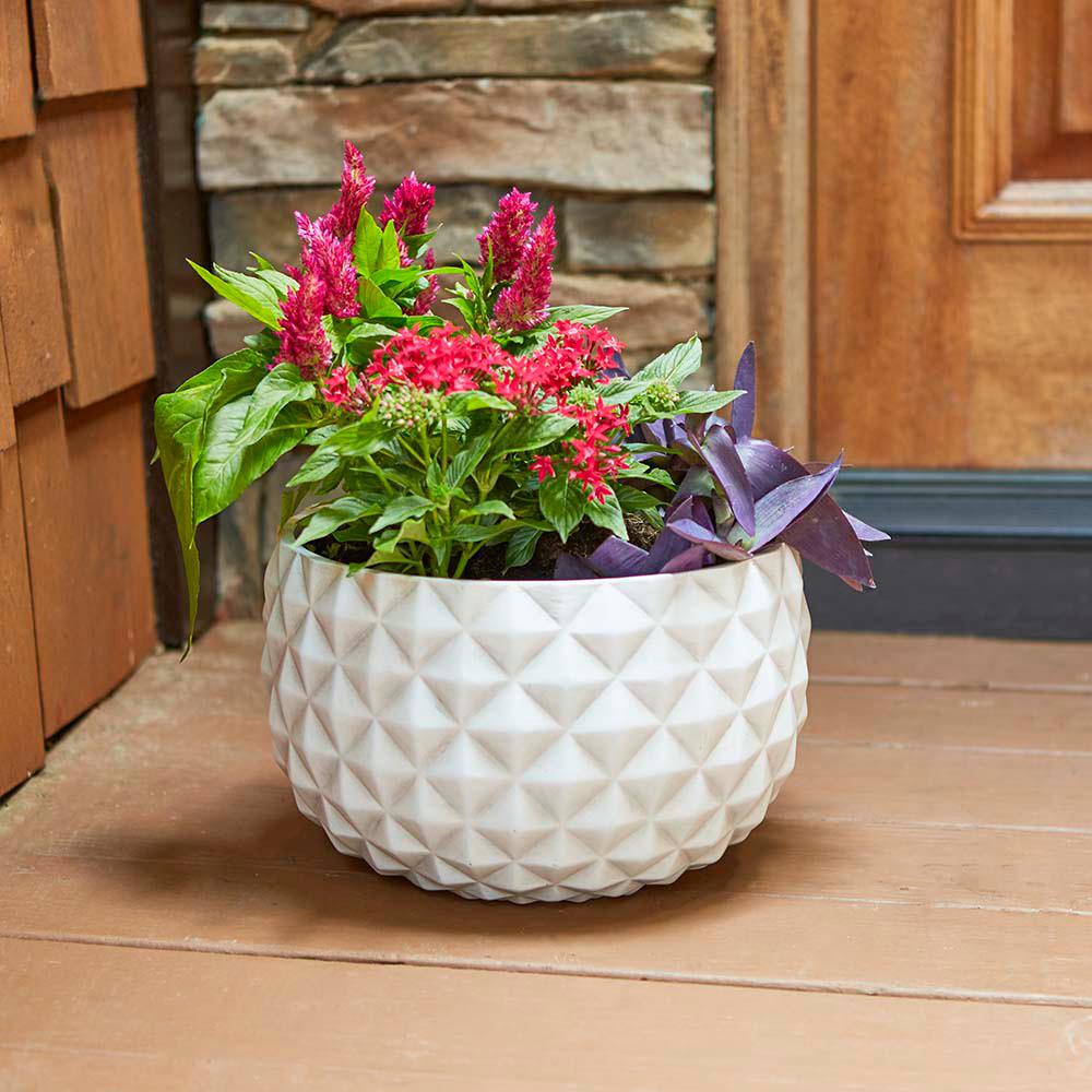 White Plant Pots Planters The Home Depot