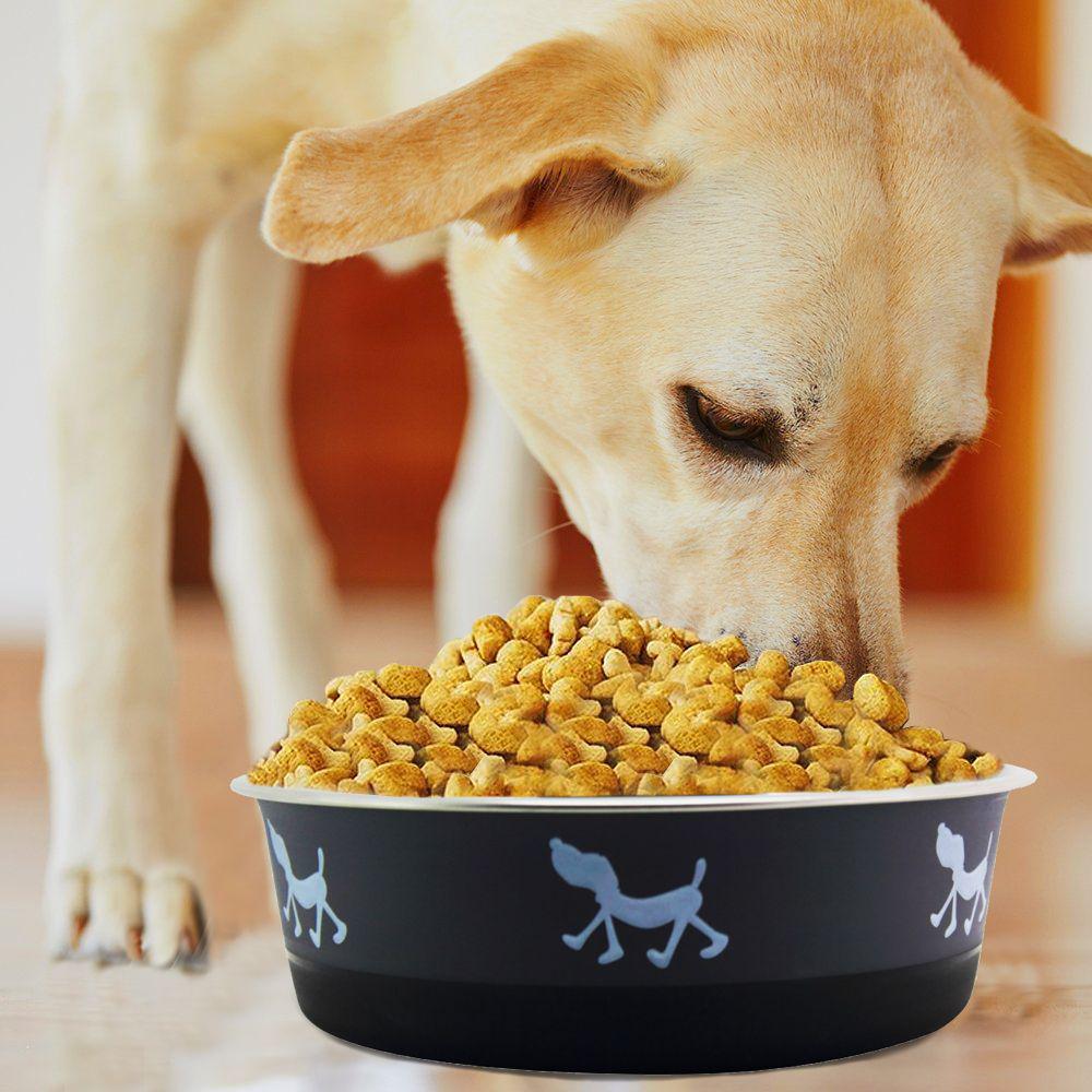 dog food at home depot