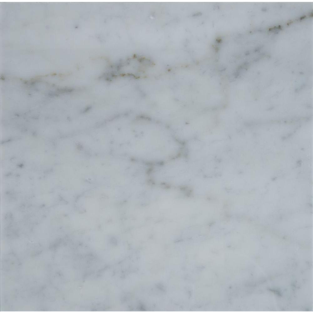 Msi Carrara White 18 In X Polished Marble Floor And Wall X 18 In Polished Marble Floor