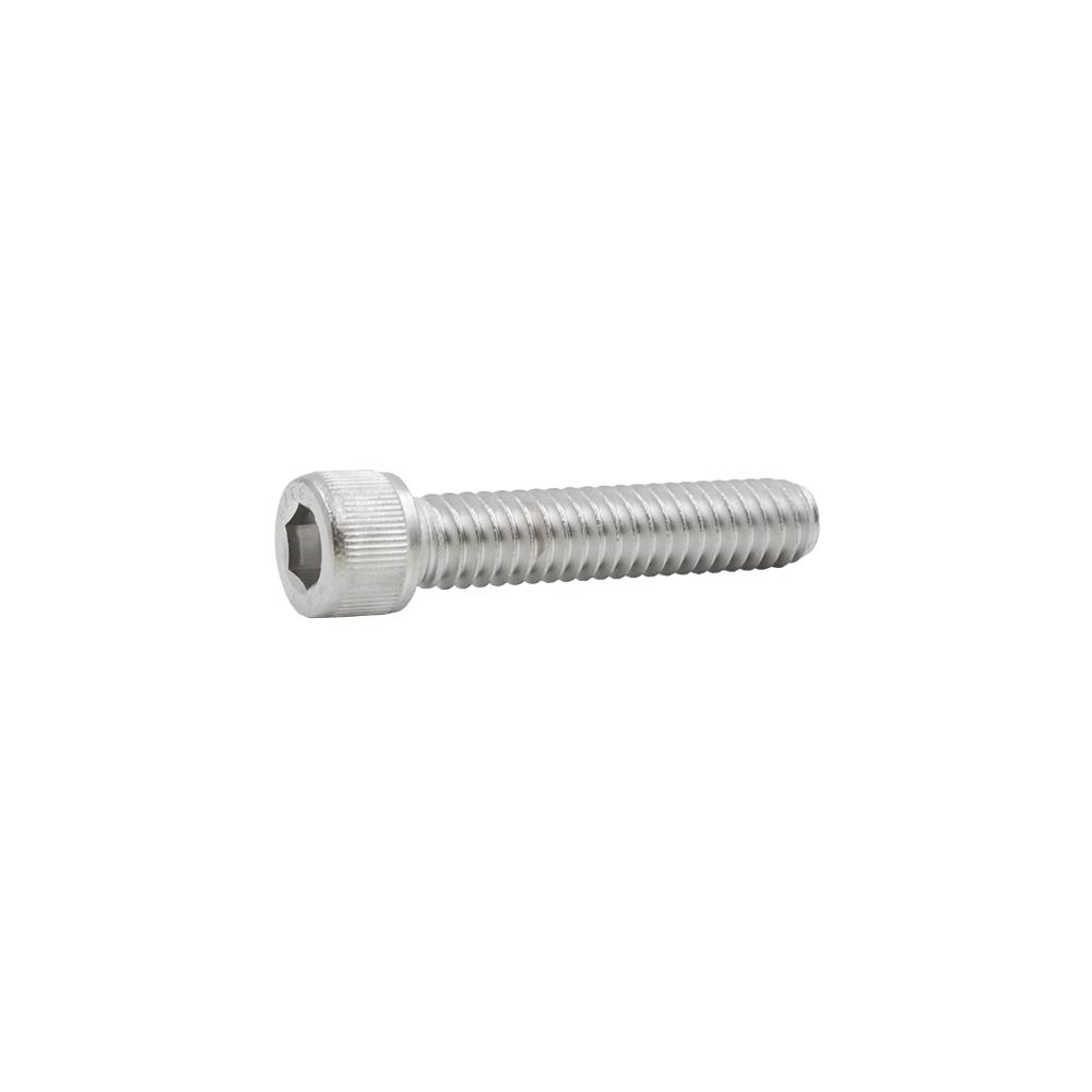 Everbilt 1/4 in. 20 tpi x 11/4 in. StainlessSteel Socket Head Cap