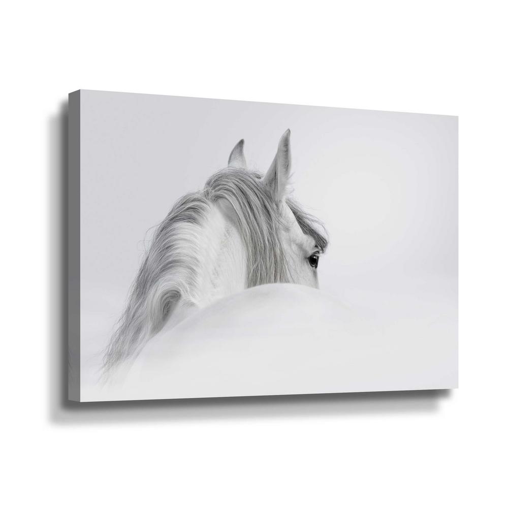Any Size Large Mystic Horses Sea Shore Canvas Wall Art Print Large