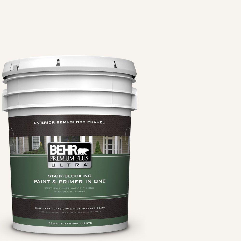 BEHR Premium Plus Ultra Home Decorators Collection 5gal