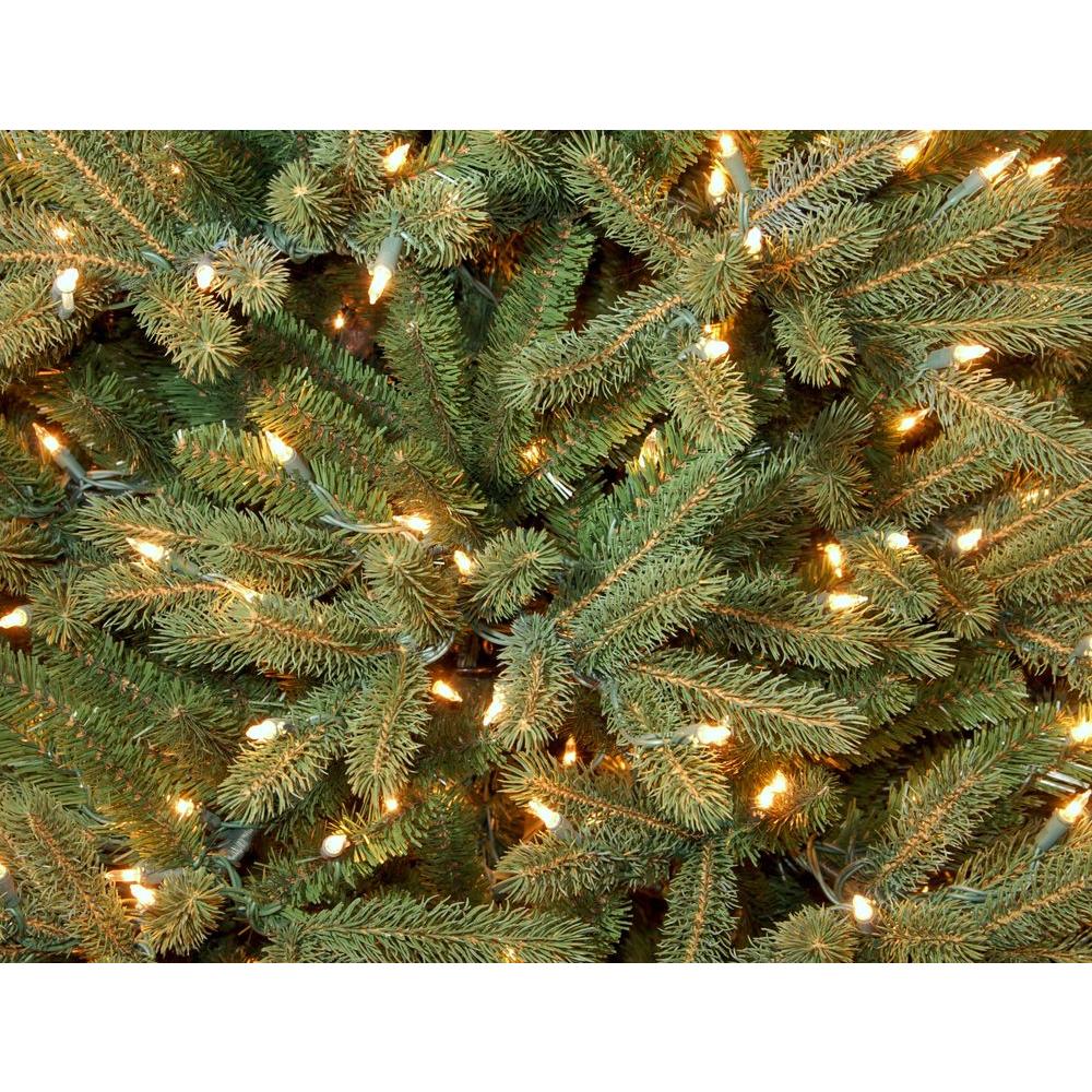fraser fir christmas trees