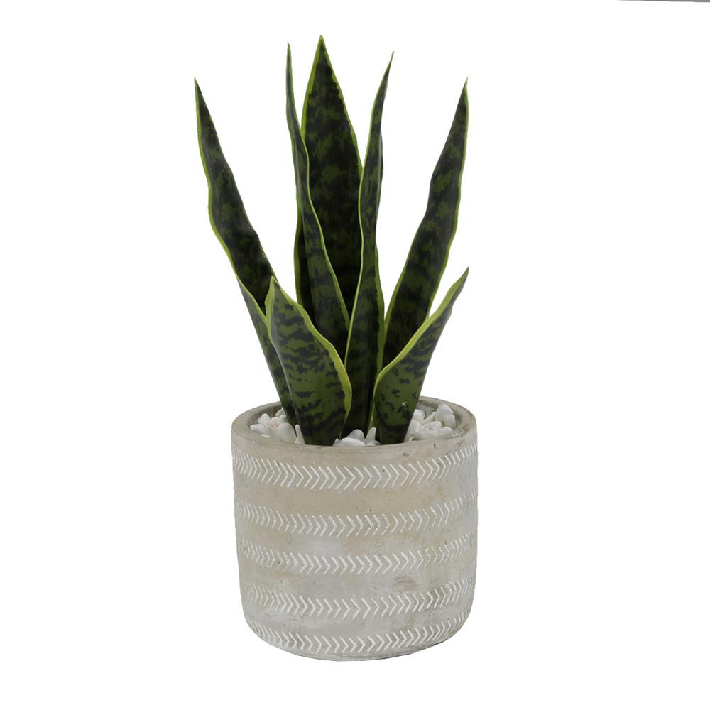 Flora Bunda 12 in. Snake Plant in 4.75 in. Arrow Cement Planter-CS3084E