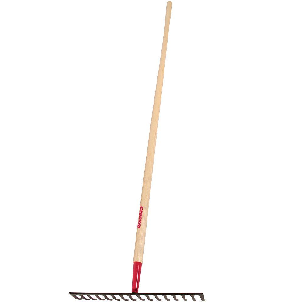 Ames 19Tine Adjustable Thatch Rake2915100 The Home Depot