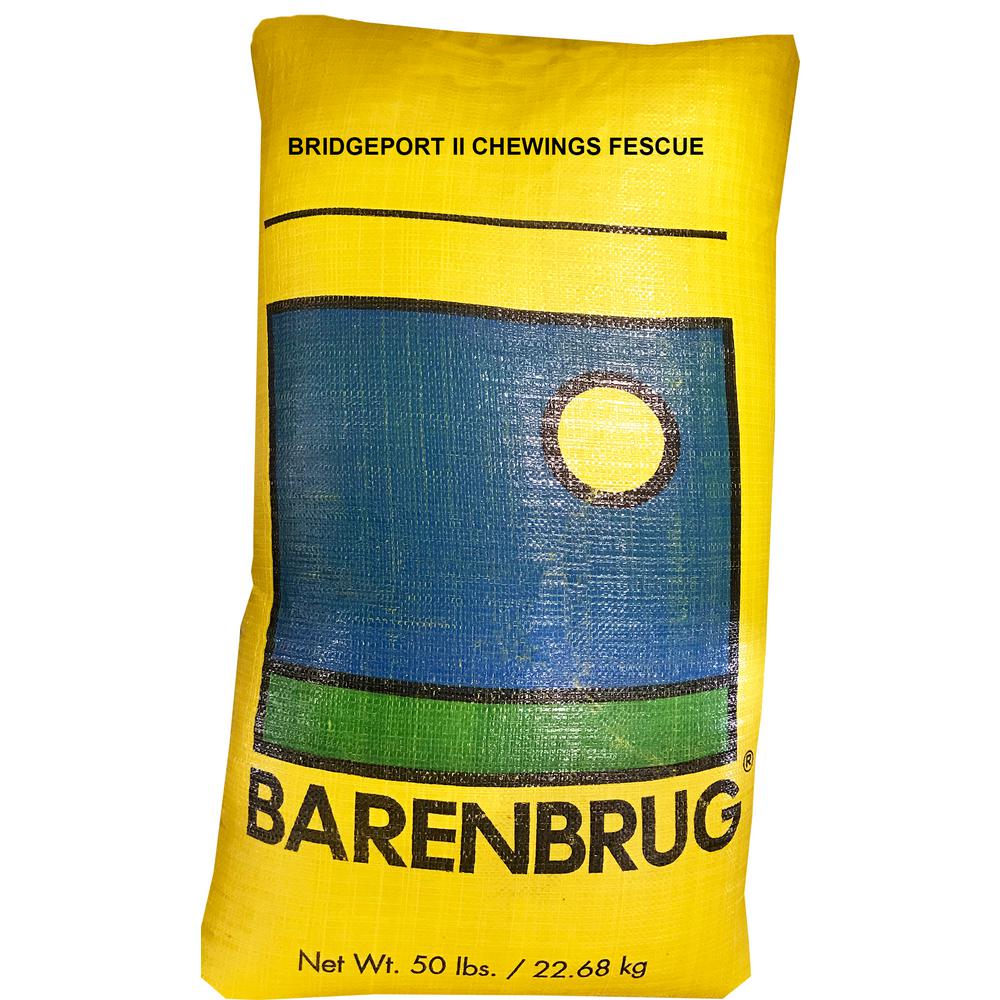 Barenbrug 50 lb. Bridgeport II Chewing Fescue Grass Seed25077 The Home Depot