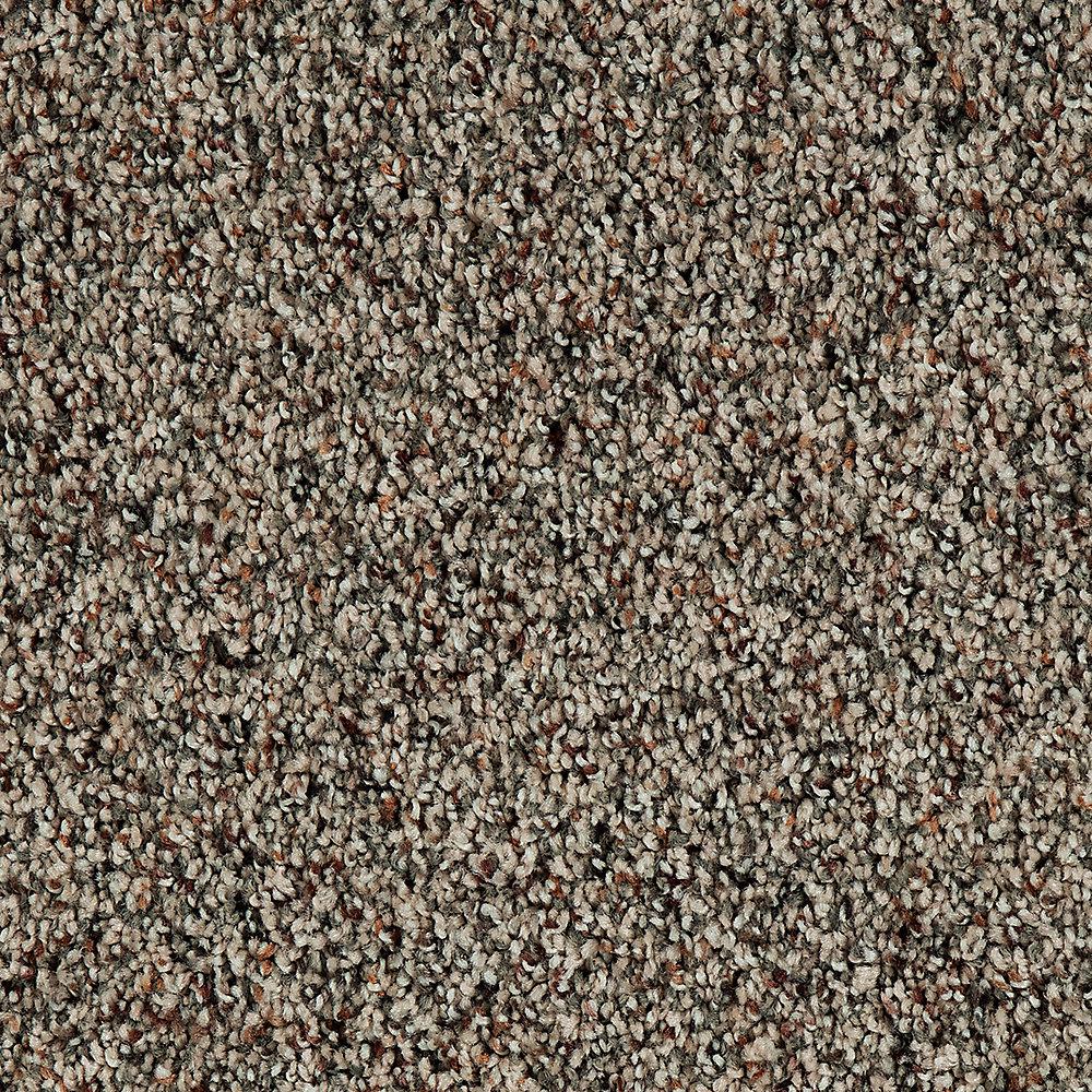 Petproof Playful Moments Ii Light Antique Textured Multi 12 Ft Carpet